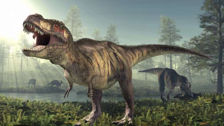 Científicos analizan los restos de un vómito fosilizado y acaban descubriendo una nueva especie de dinosaurio