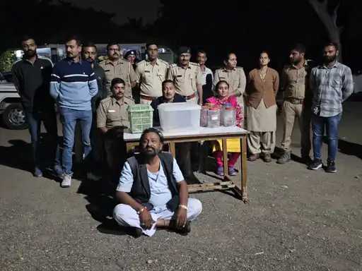 52 live snakes seized from Khetlaapa Temple Rajkot; Mahant held