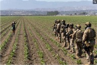 As US hunger rises, fed’s ‘efficiency’ goals cause massive food waste