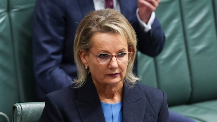 Net zero, the Coalition and the trail of political gore