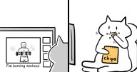 25 Sassy Cat Comics That Prove Cats Understand Us Better Than We Think
