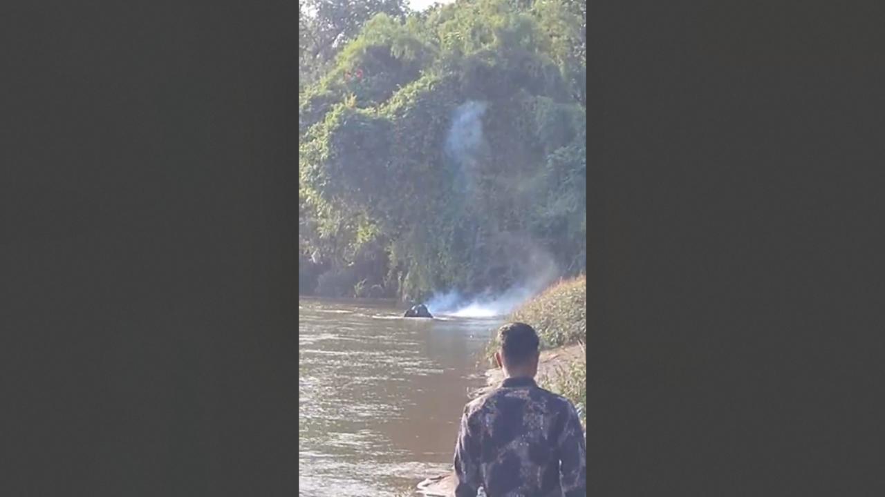 Locals disturb wild elephant ‘Omkar’ with firecrackers in Sindhudurg