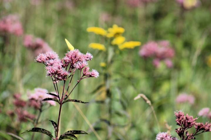 ‘Leave it to Beaver’ actor dies at 76