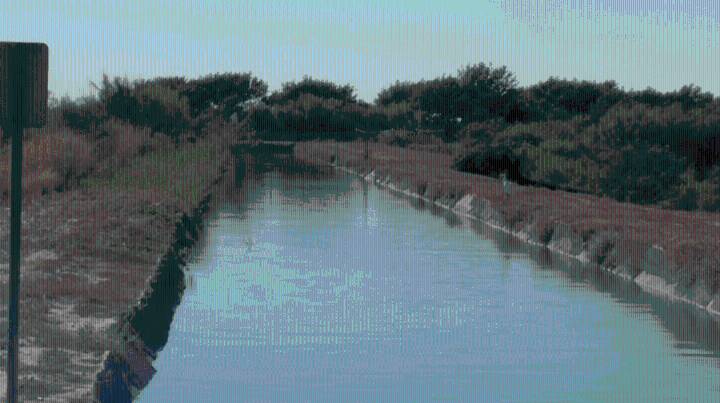 Experts warn Rio Grande could run dry by 2050 without investment