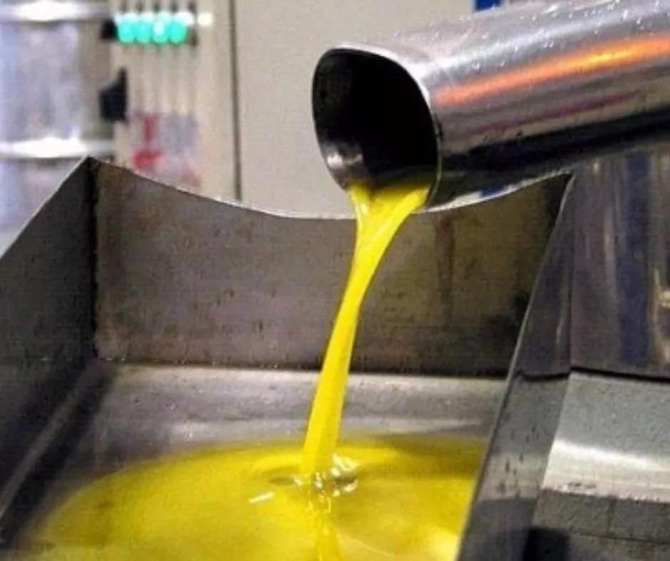 Barbastro celebra el sello europeo de la DOP Aceite del Somontano