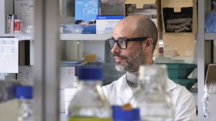 Bacterias que destruyen tumores