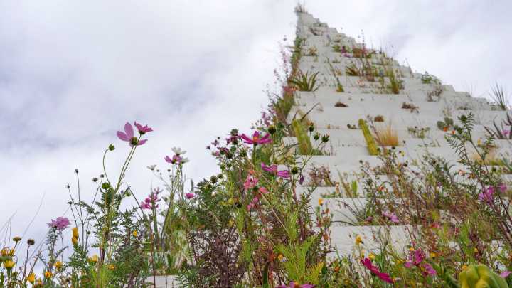 Desert X to mark 10th anniversary with switch to six