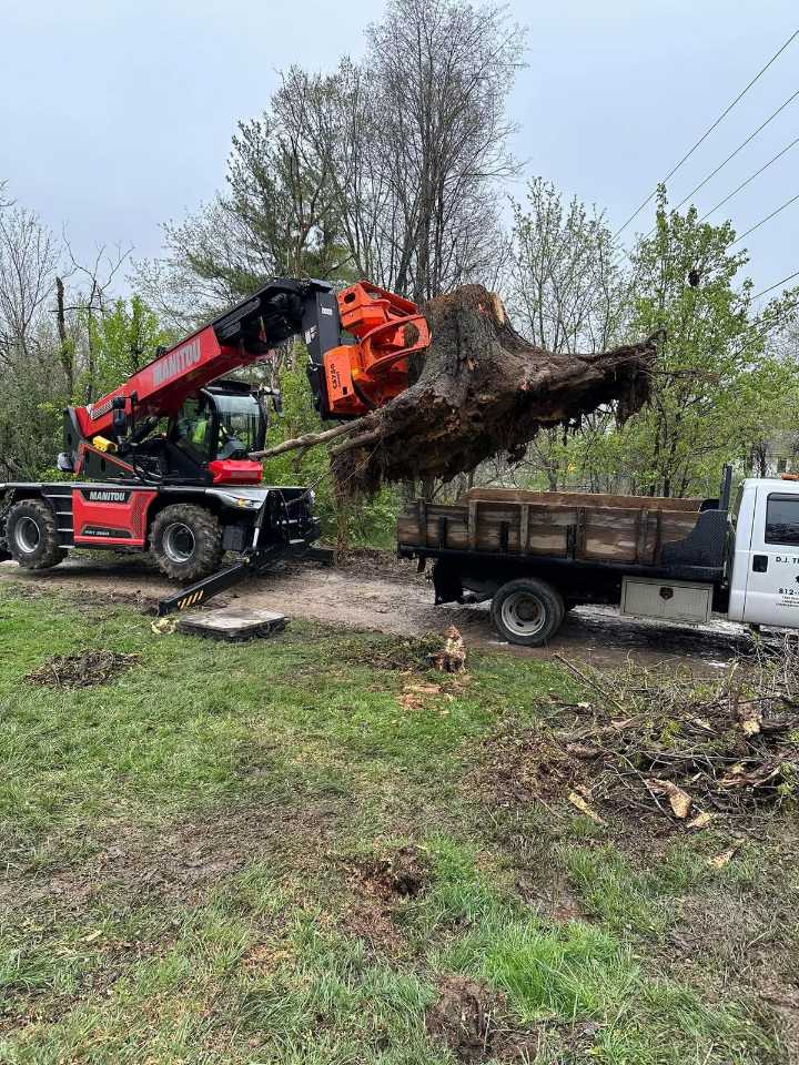 From Chainsaws To Charity: DJ Tree Service Cuts Cost, Not Kindness