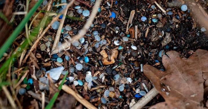 Camber Sands beach horror as 'one of worst pollution spills EVER' sparks urgent warning
