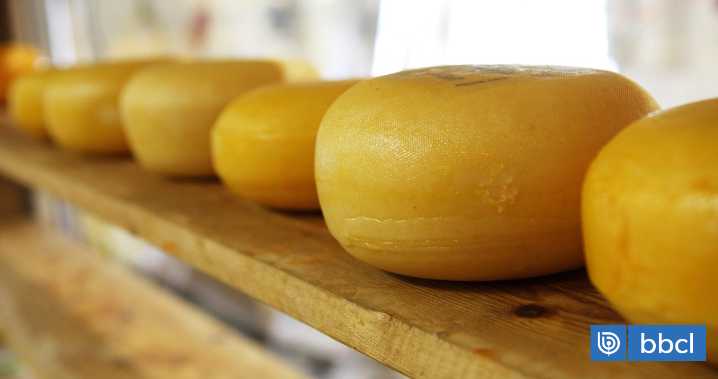 Insólito: Robo con intimidación por un kilo de queso terminó con dos detenidos en Ancud