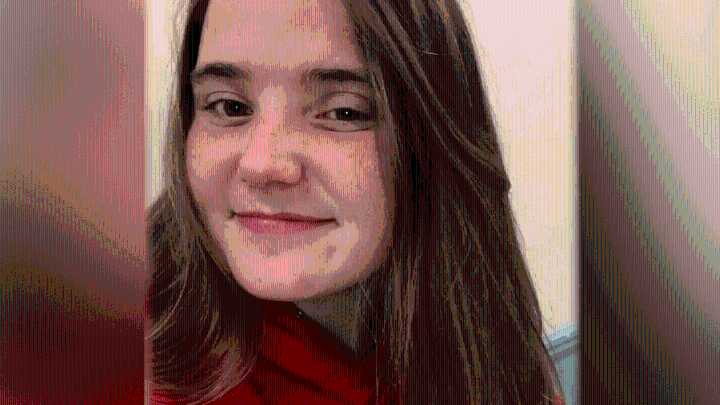 Sandra Birchmore case: What Robert Devine said in POST Commission hearing