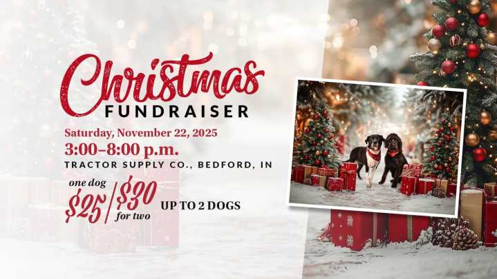 White River Humane Society hosting Holiday Pet Photo event