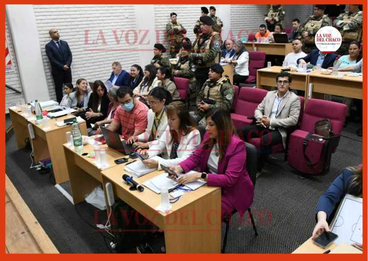 Caso Cecilia: cuarto intermedio hasta el lunes que declaran los testigos propuestos por la defensa