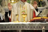 Majority of Australian and French priests are thriving, reports say