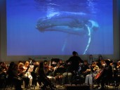 NVYO concert on Sunday in Grand Forks to feature two youth orchestras