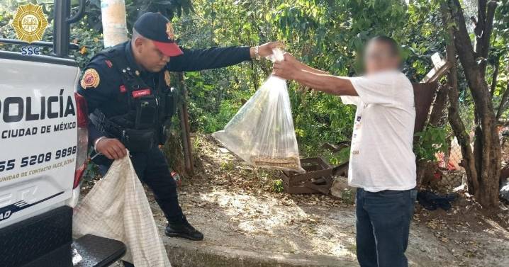 Rescatan víbora de tres metros dentro de un domicilio en Segunda Ampliación Presidentes