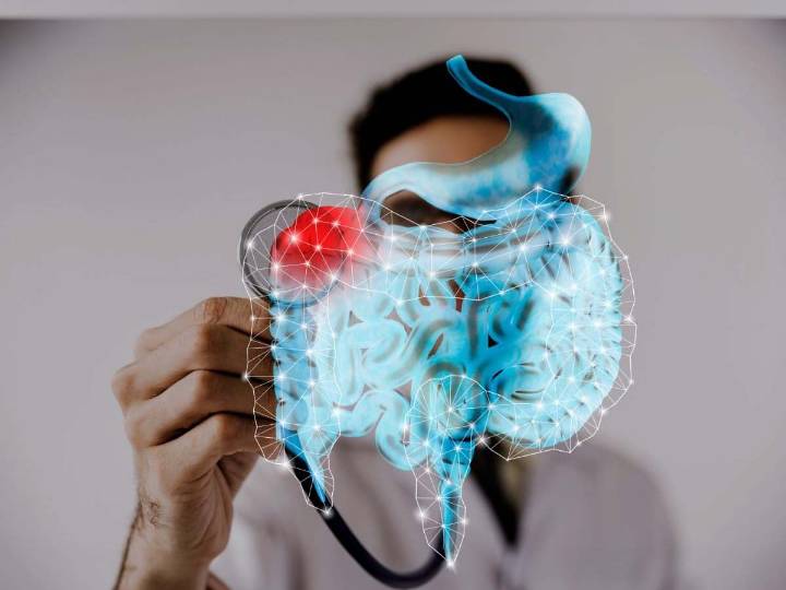 La microbiota intestinal: eje central de la nutrición moderna y la salud pública