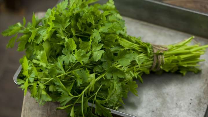 De-Stem Fresh Herbs In Seconds With This Box Grater Hack