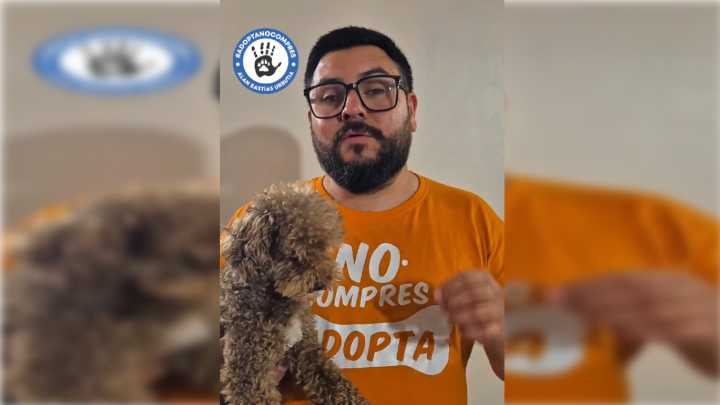 CORE del Biobío bajo investigación por presunto delito sexual