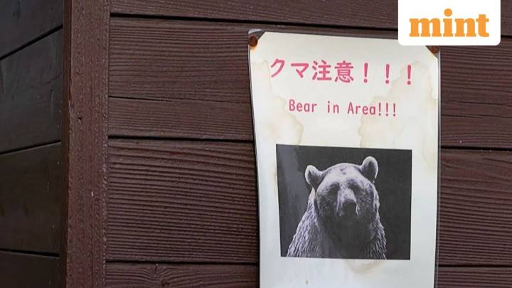 Bear battle in Japan? Def ministry deploys troops as attacks surge