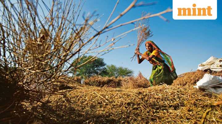 Soil to market: VISTAAR platform to bring real-time agri insights to farmers