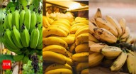 Green, yellow, or brown spotted bananas: Which banana stage is healthiest for your gut and blood sugar