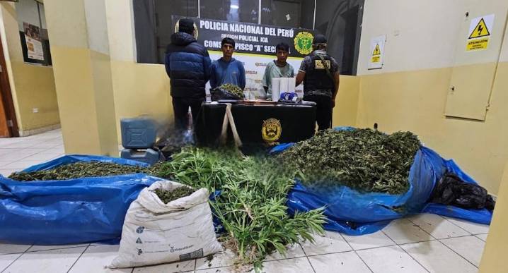 Pisco: caen “Los Bandoleros de Sur”, presuntos narcotraficantes con 65 kilos de marihuana