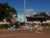 Sigue sin aparecer el servicio de aseo urbano en sectores bolivarenses