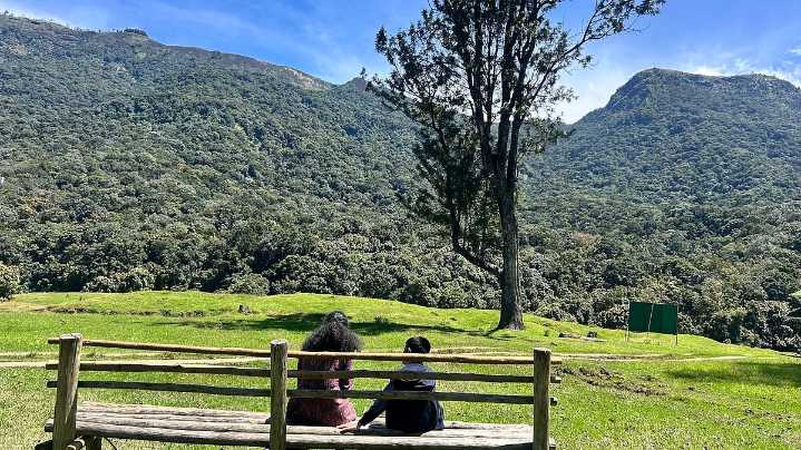 How Pampadum Shola’s fight against wattle invasion is reshaping India’s restoration story