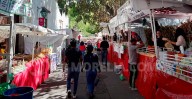 Fiestas guadalupanas en Morelia contarán con más de 60 inspectores y operativo especial