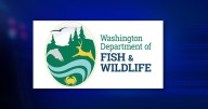 Washington lakes stocked with jumbo trout for Black Friday fishing