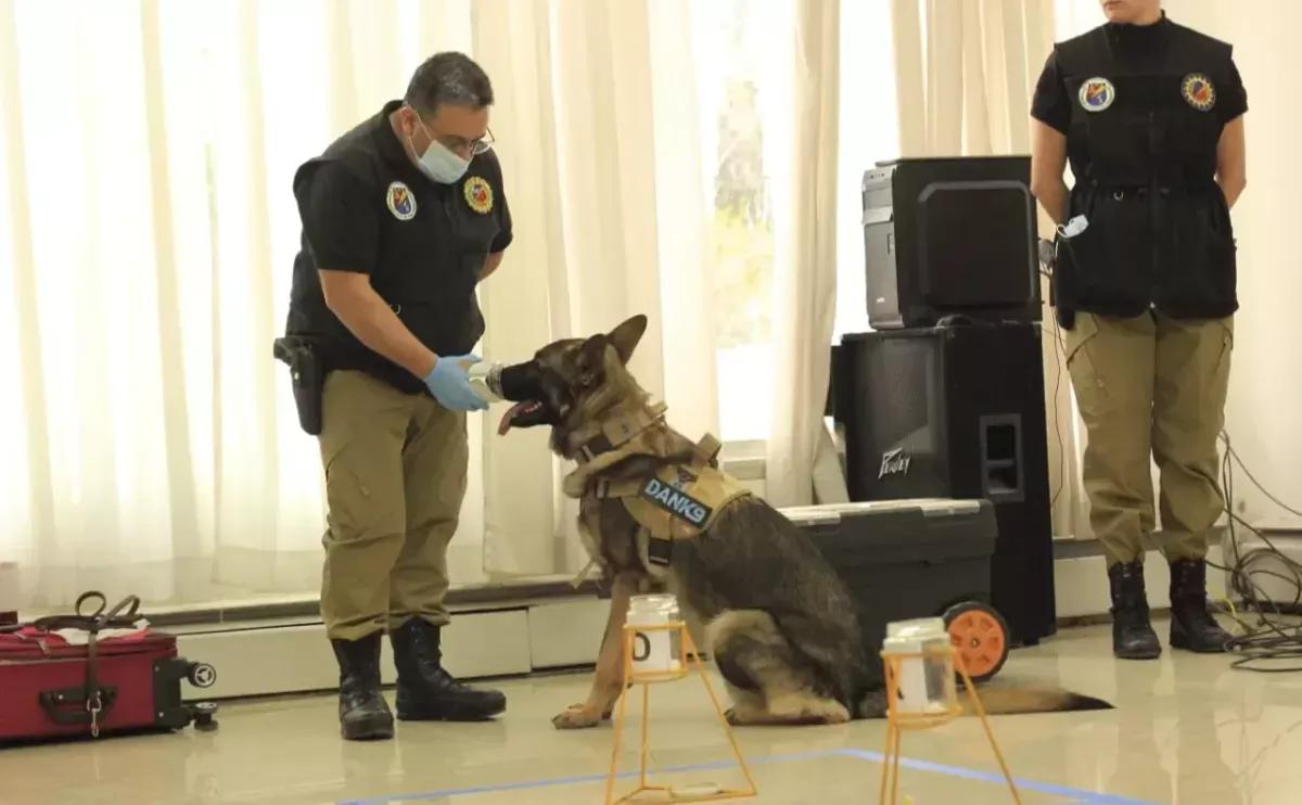 Gobierno aprobó un protocolo de análisis de rastros de olor para investigaciones judiciales