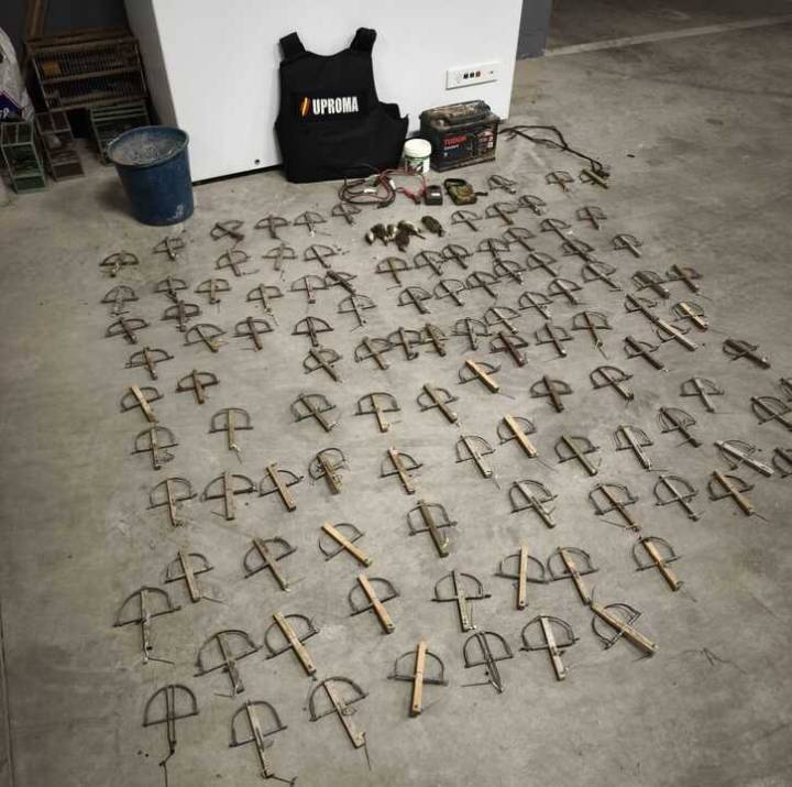 Actuaciones contra la caza furtiva de aves insectívoras