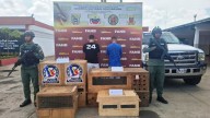 Detenidos en flagrancia por tráfico de fauna silvestre