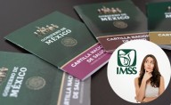 ¿Qué hacer si se me pierde mi carnet del IMSS? Así puedes reponerlo