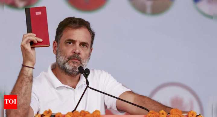Bihar polls: 10% of population controls Army, says Rahul, stirs row