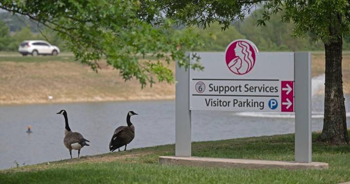 Louisianans with cancer can turn to support groups