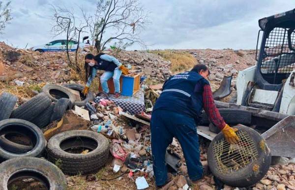 Inicia segunda etapa del proyecto 'Rescatemos el Río Sacramento'