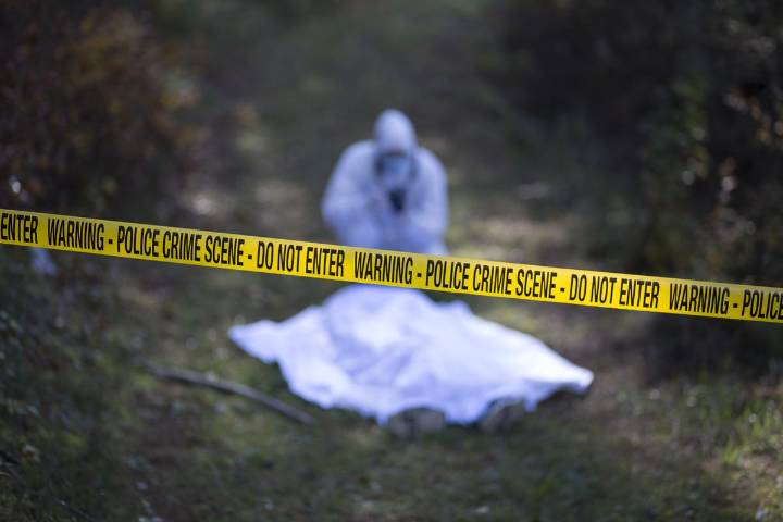 Police in Douglas County Investigate Homicide, Close U.S. 97