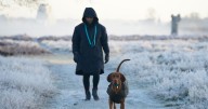 Dog owners told 'do one thing' after every walk this winter