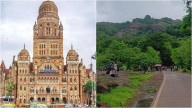 Mumbai News: BMC To Hold Public Hearings For Sanjay Gandhi National Park Master Plan From November 20 To 28