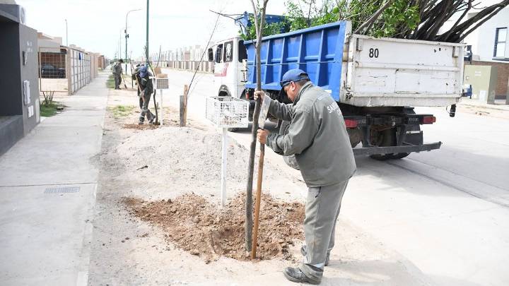 La Municipalidad Capital inició la plantación de más de 1.500 árboles en el barrio Parque del Río III