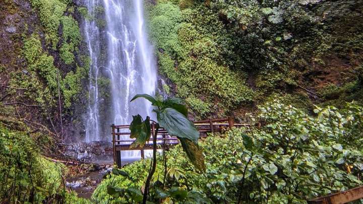 La joya natural escondida cerca de Pereira que regala momentos de calma a sus visitantes