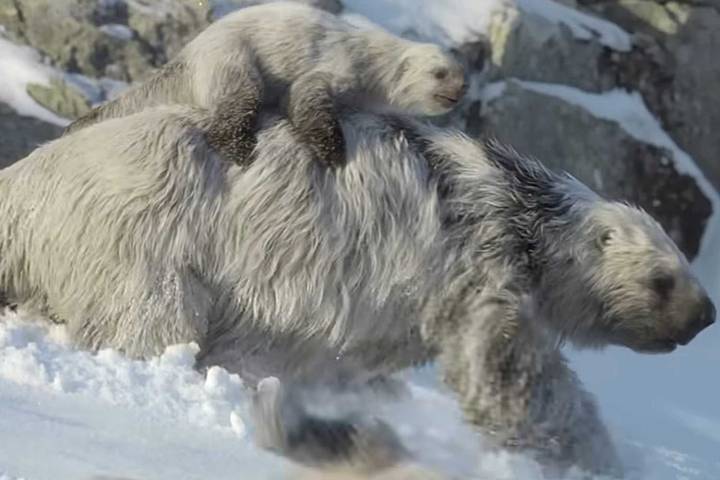 See Ice Age Creatures in New 'Prehistoric Planet' Trailer (Exclusive)