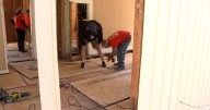 Volunteers remodel local veterans home on Veterans Day