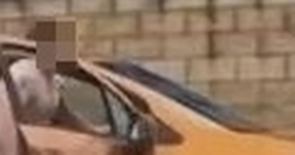 Naked cocaine and booze-fuelled thug jailed after 'two day bender' chaos