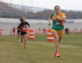 How did Jackson-area runners fare at state cross country?