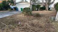 Treasure Island discusses how to tackle overgrown lawns