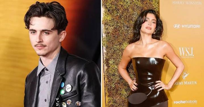 EXCLUSIVE: Timothée Chalamet's Silence Left Kylie Jenner Heartbroken