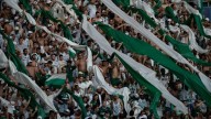 Un hincha de Palmeiras falleció en Lima al caer de un bus antes de la final de la Copa Libertadores